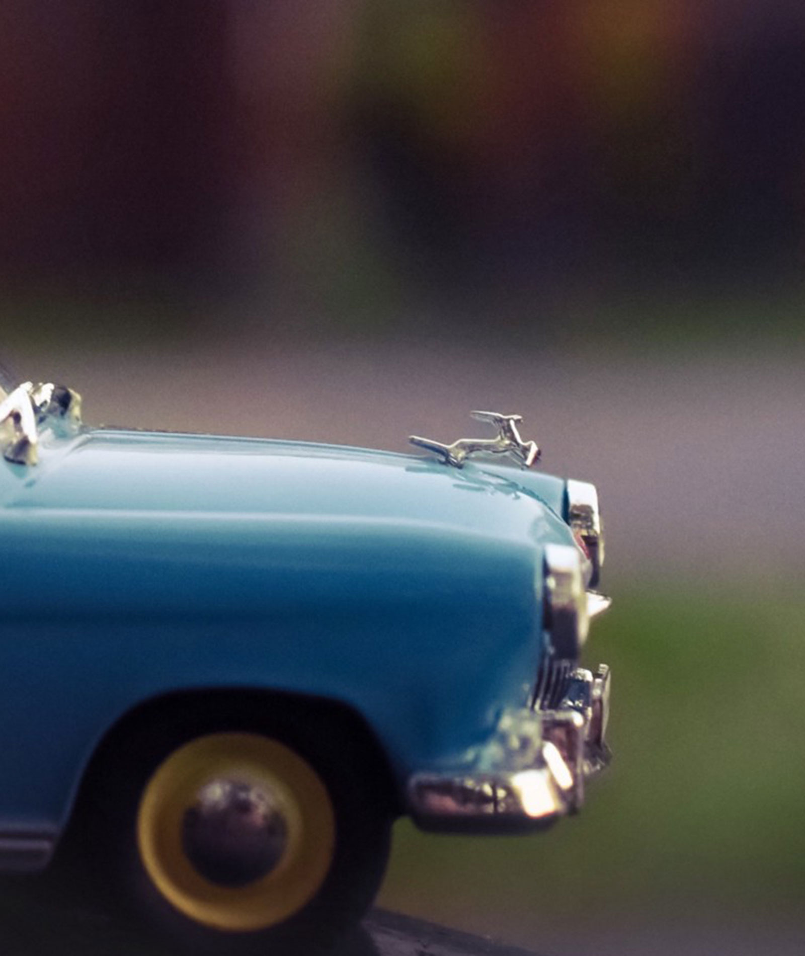 1 xKjsqlwraENN PHQaYKTPw