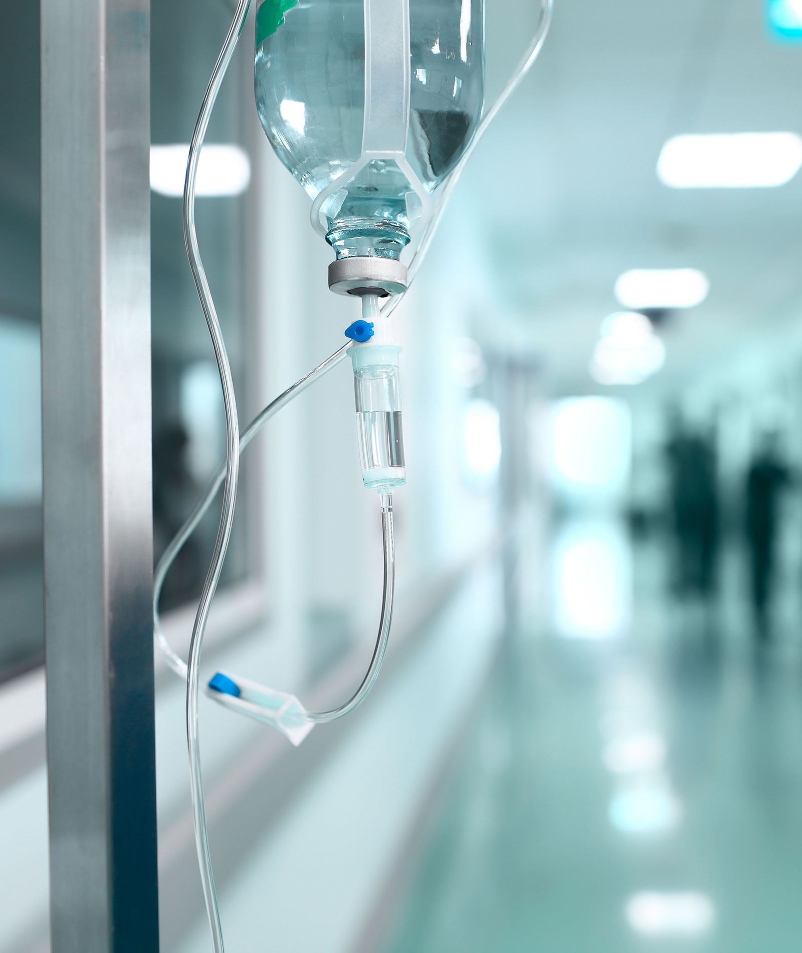 shutterstock 295184639